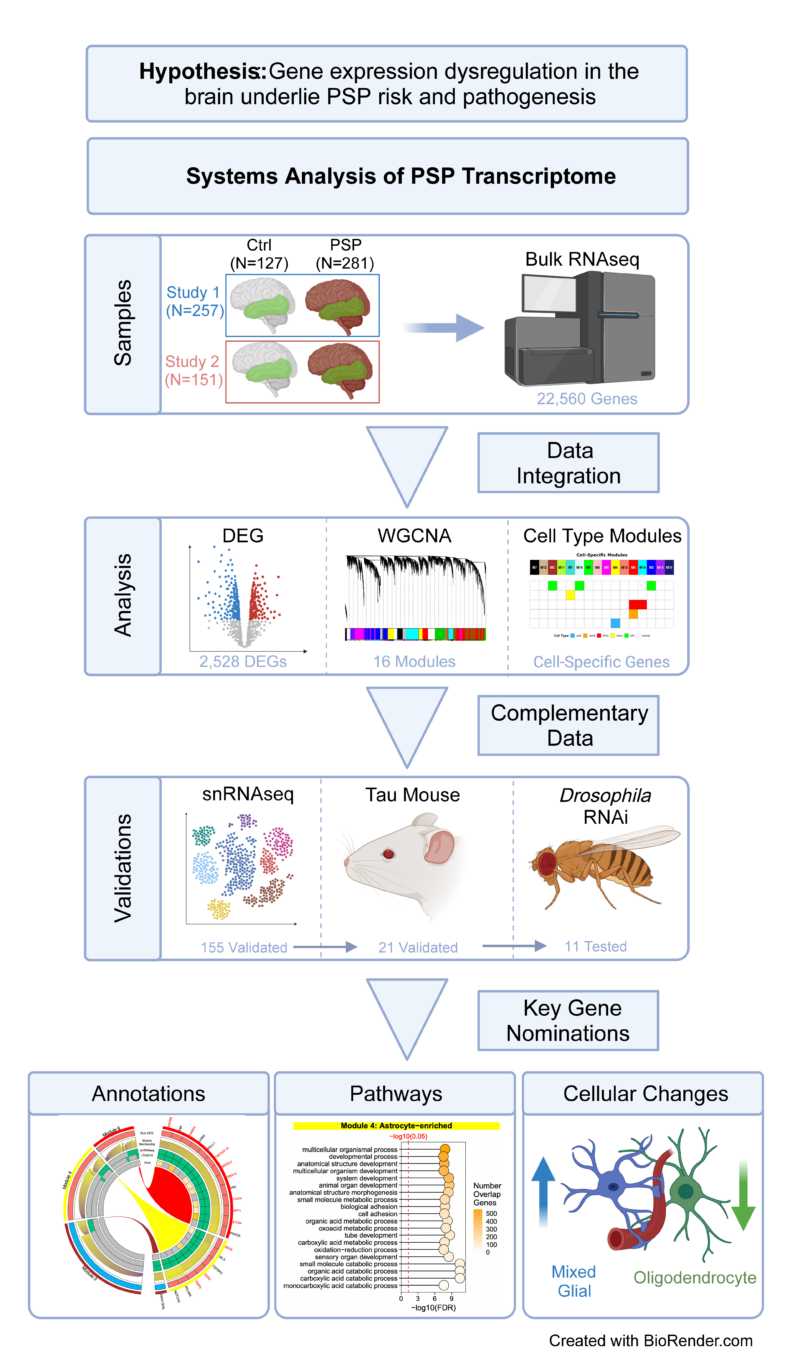 Newly Available Transcriptome Dataset Identifies Therapeutic Targets ...