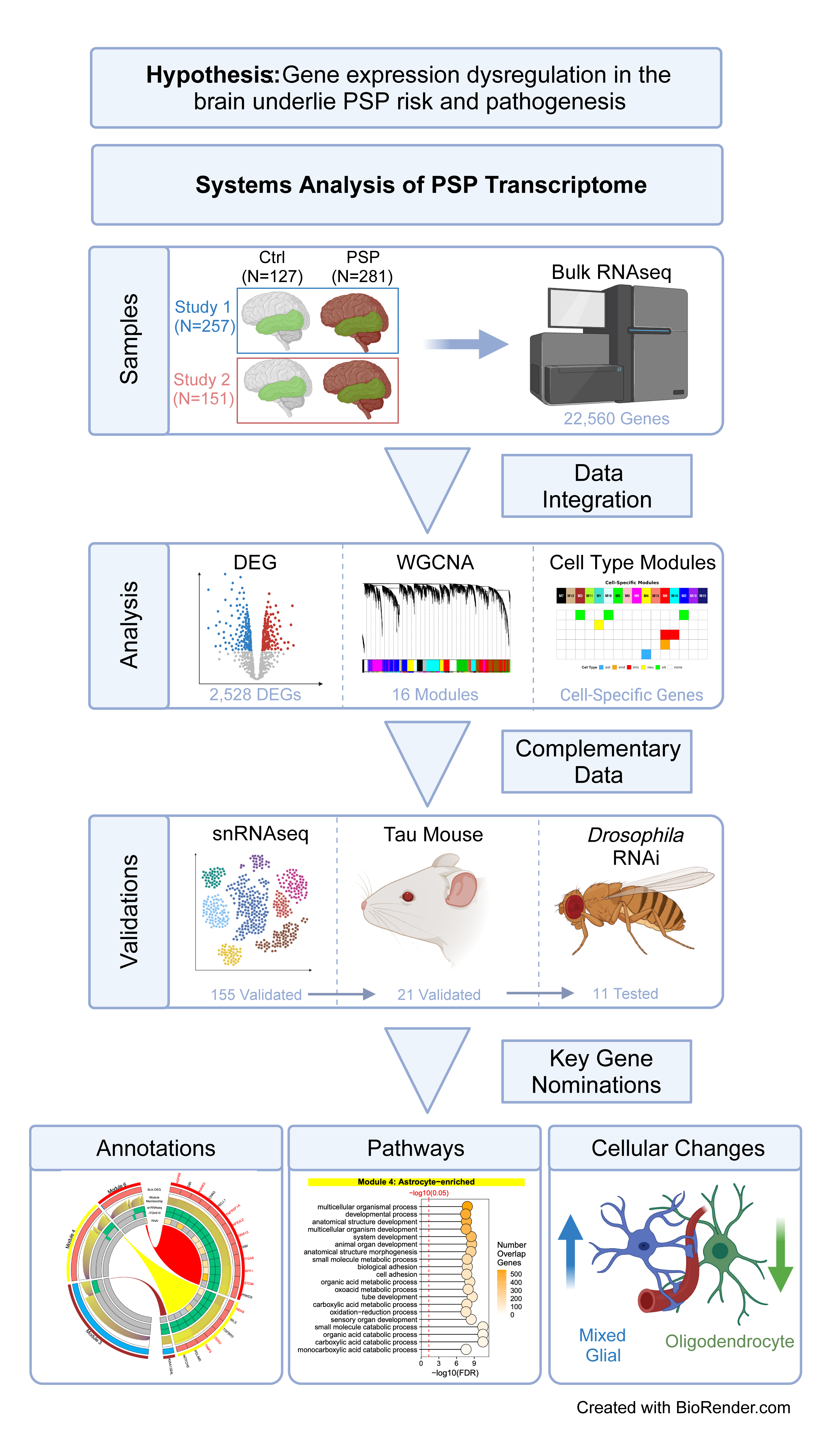 Graphic abstract depicting the key steps and the overall workflow of the nomination processes